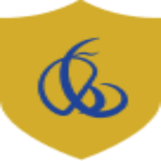 basulawfirm favicon
